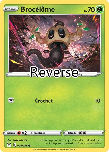 Brocélôme reverse