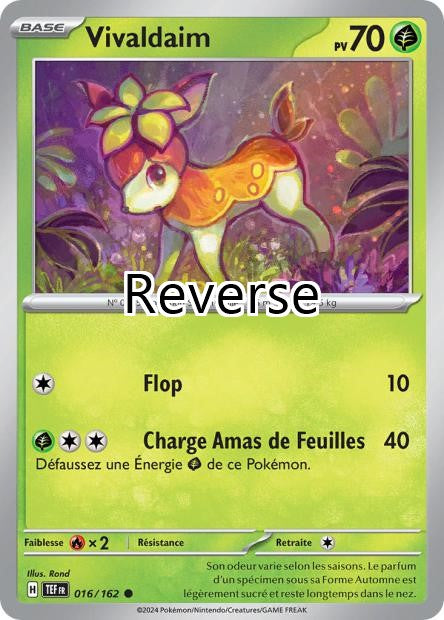 Vivaldaim reverse