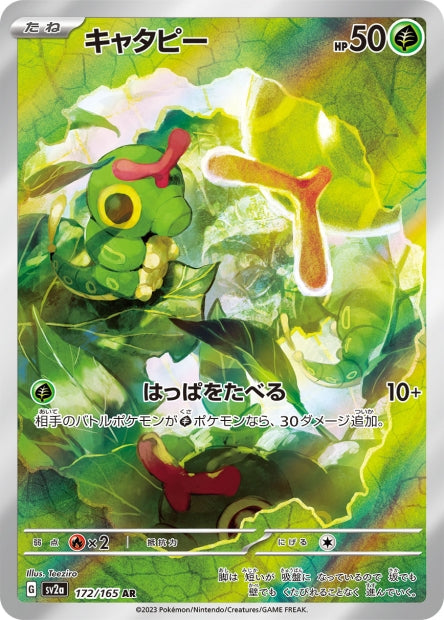 Chenipan 172/165