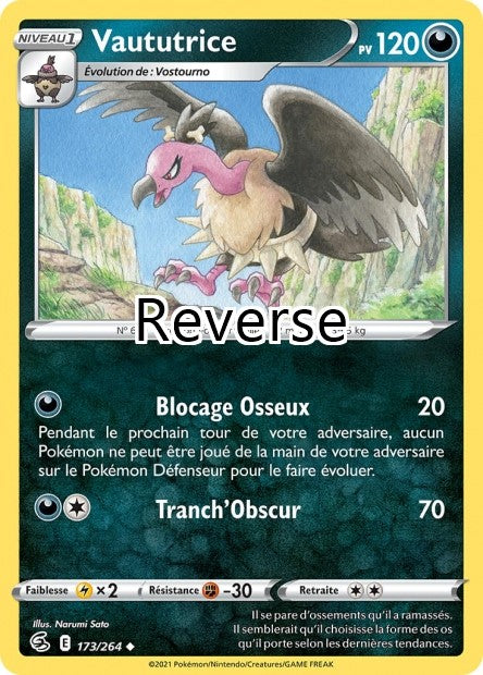 Vaututrice reverse