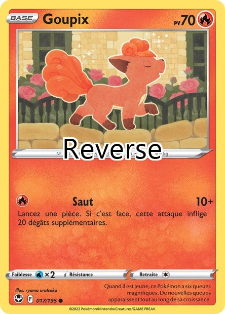 Goupix reverse