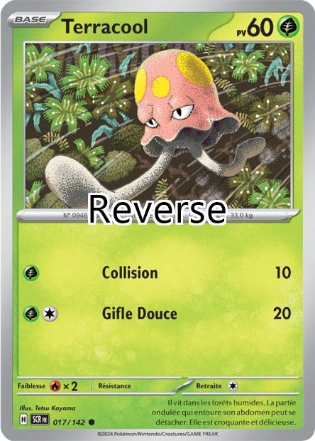 Terracool reverse
