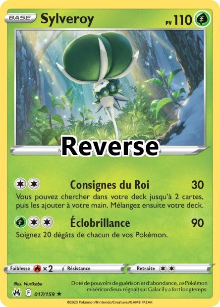 Sylveroy reverse