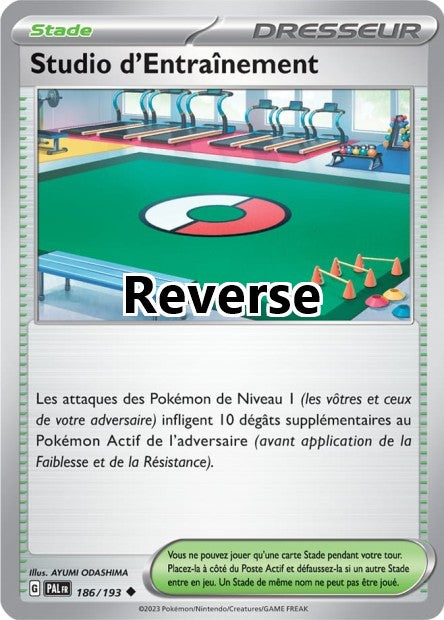 Studio d'Entraînement reverse