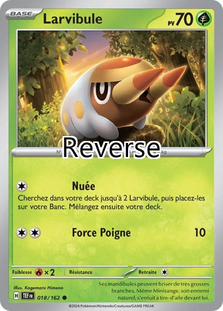 Larvibule reverse