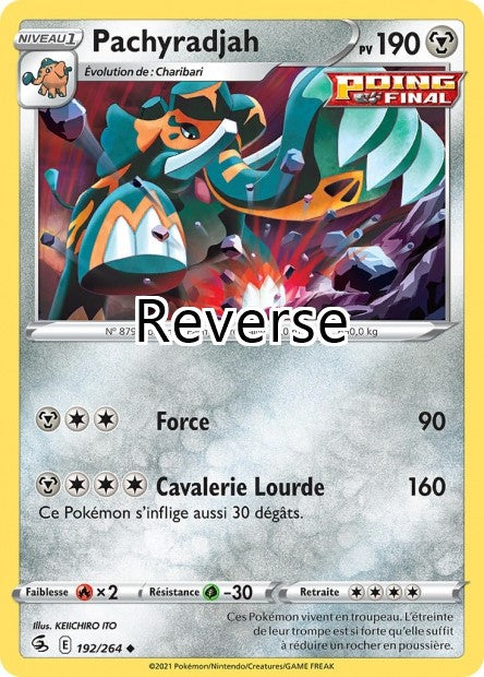 Pachyradjah reverse