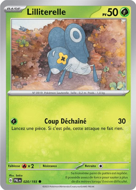 Lilliterelle
