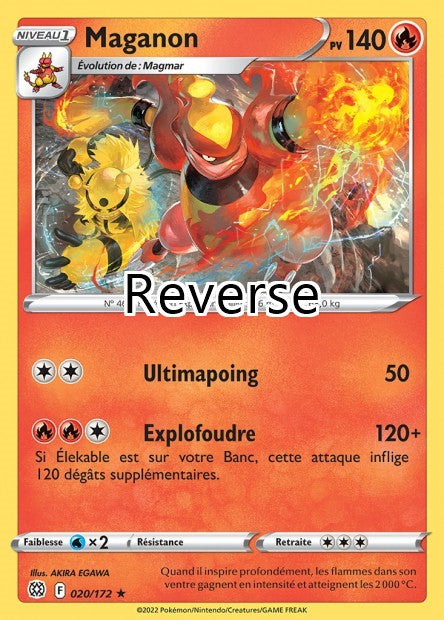 Maganon reverse