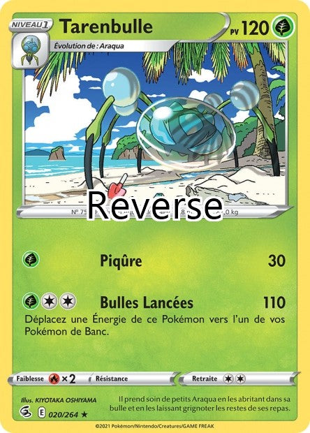 Tarenbulle reverse