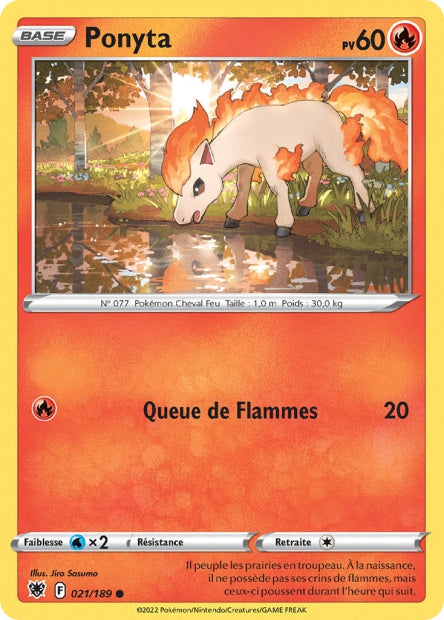 Ponyta