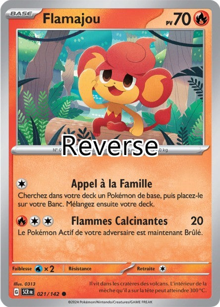 Flamajou reverse