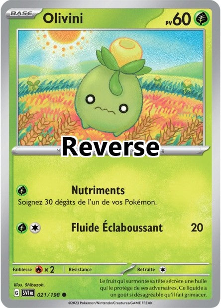 Olivini reverse
