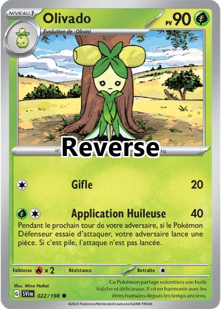 Olivado reverse