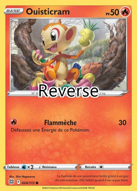 Ouisticram reverse