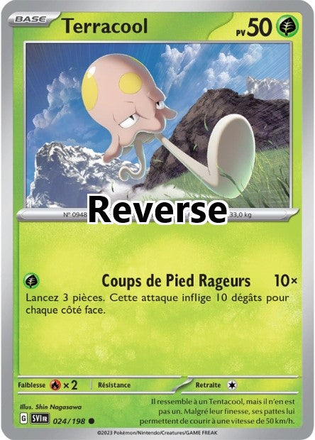 Terracool reverse