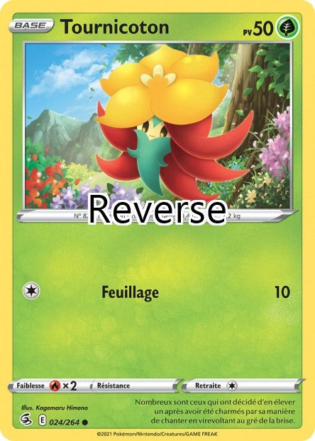 Tournicoton reverse