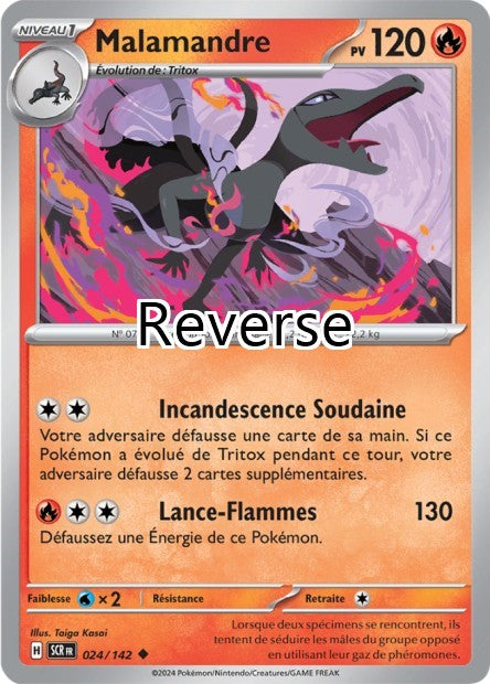 Malamandre reverse