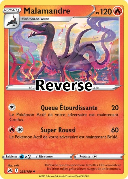 Malamandre reverse