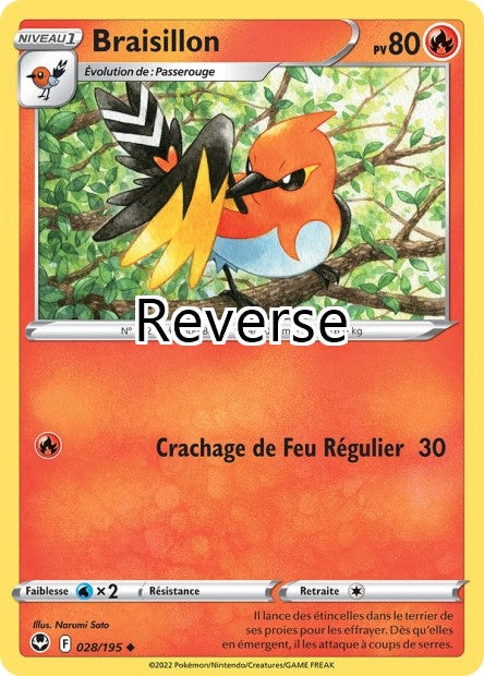 Braisillon reverse