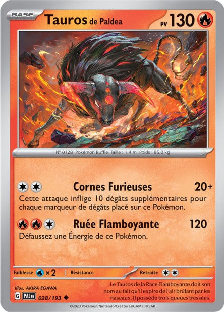 Tauros de paldea