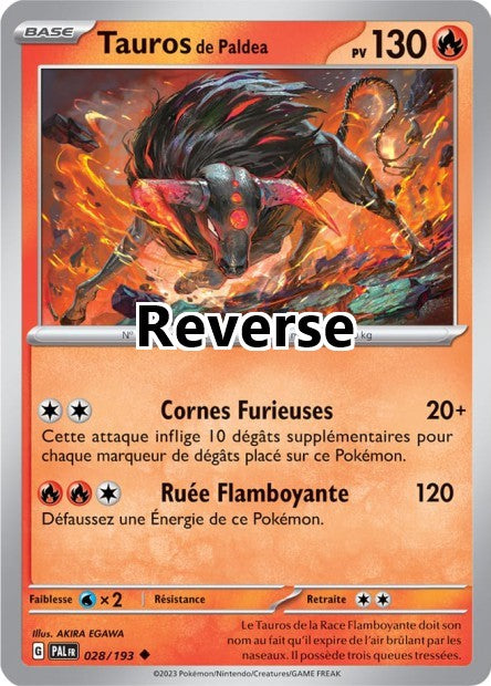 Tauros de Paldéa reverse