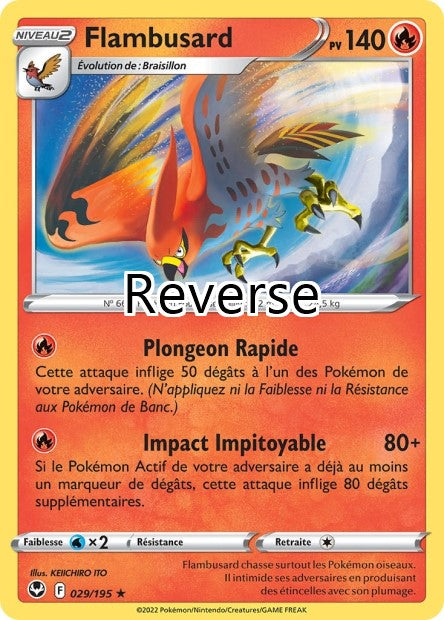 Flambusard reverse
