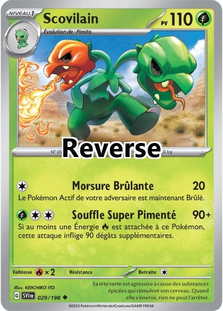 Scovilain reverse