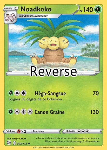 Noadkoko reverse