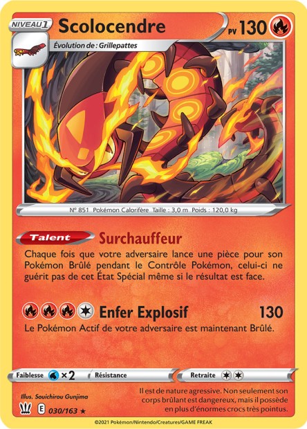 Scolocendre 030