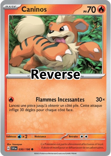 Caninos reverse