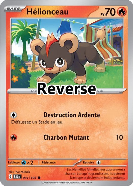 Hélionceau reverse