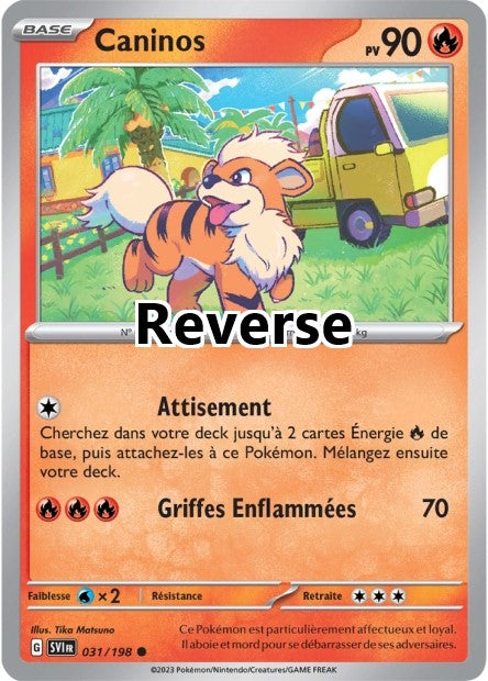 Caninos reverse