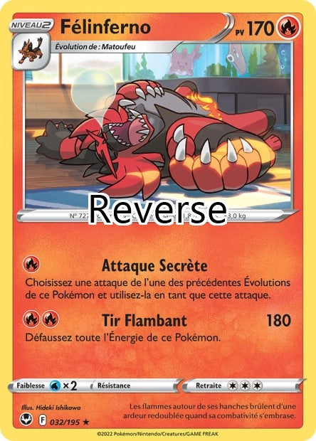 Félinferno reverse