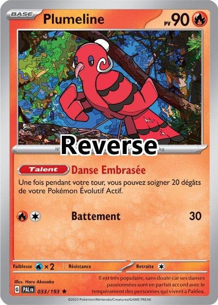 Plumeline reverse