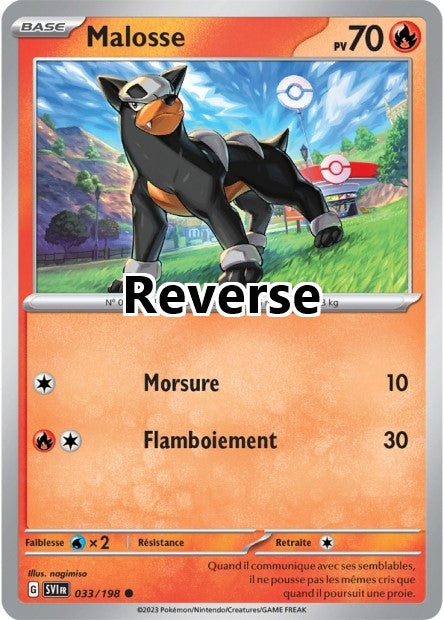 Malosse reverse