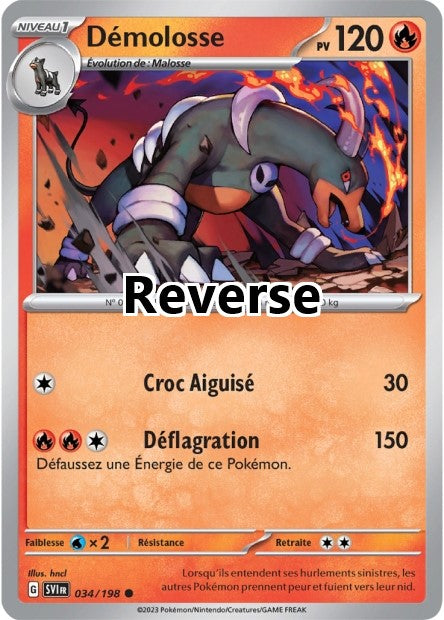 Démolosse reverse