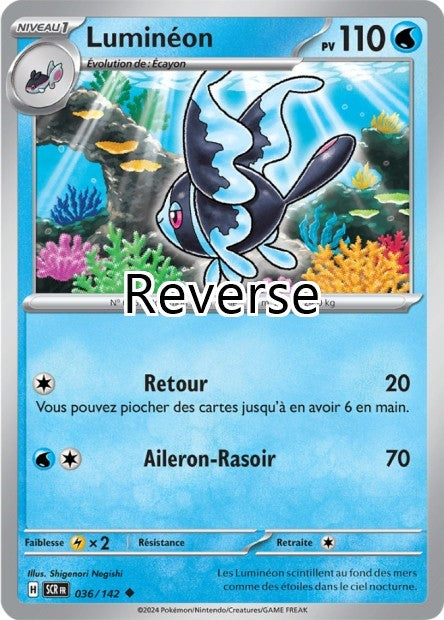 Lumineon reverse
