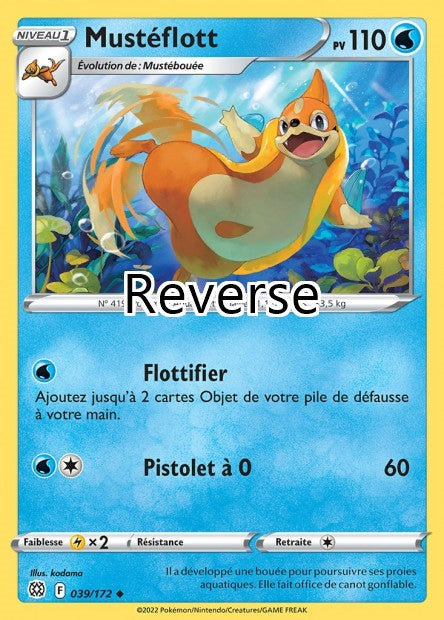 Mustéflott reverse