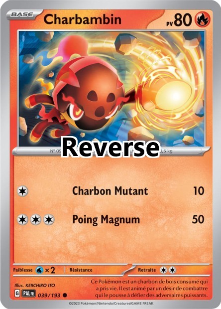 Charbambin reverse
