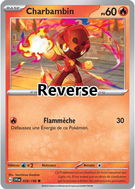 Charbambin reverse