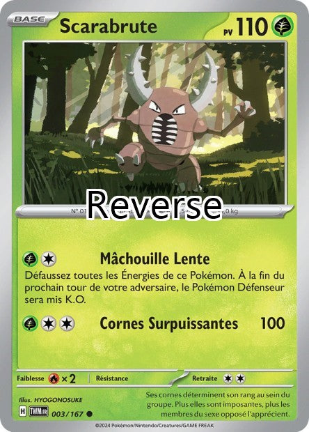 Scarabrute reverse