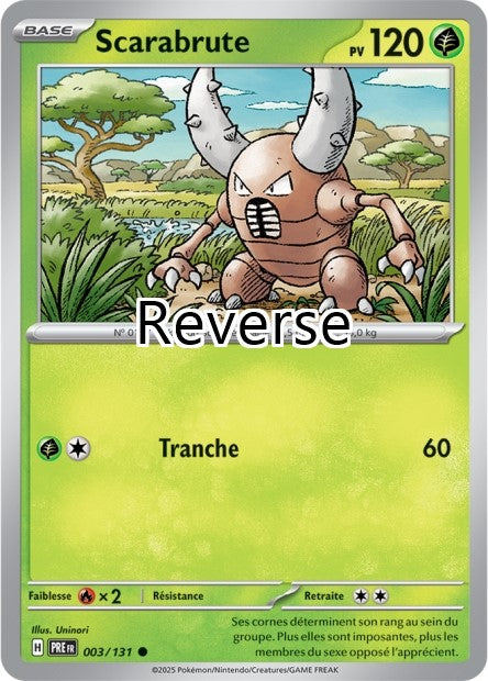 Scarabrute reverse