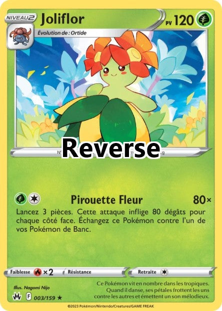 Joliflor reverse
