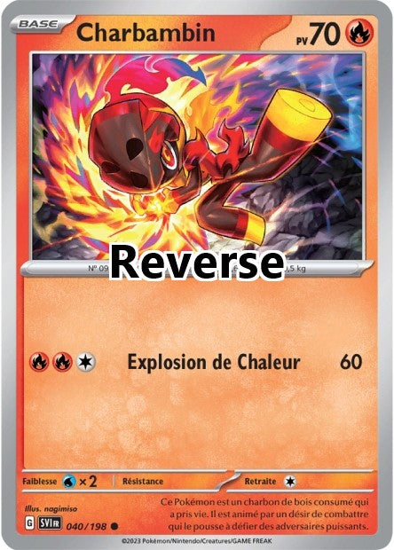 Charbambin reverse