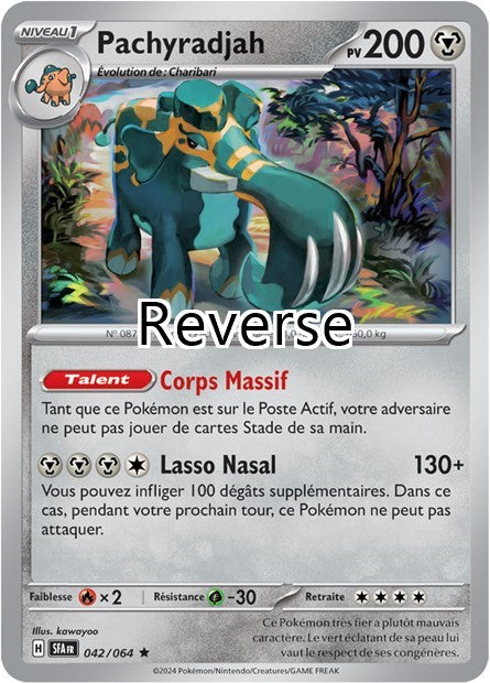 Pachyradjah reverse