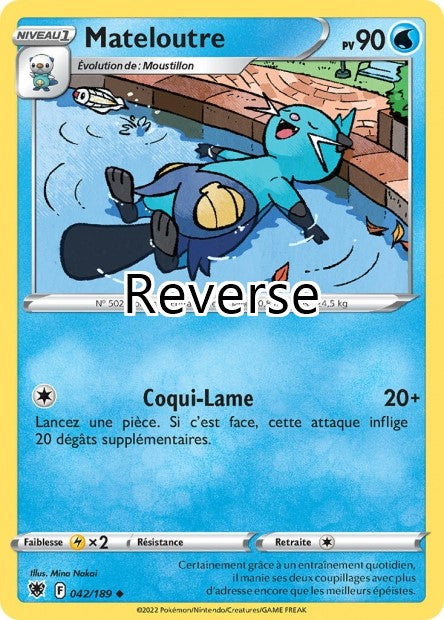 Mateloutre reverse