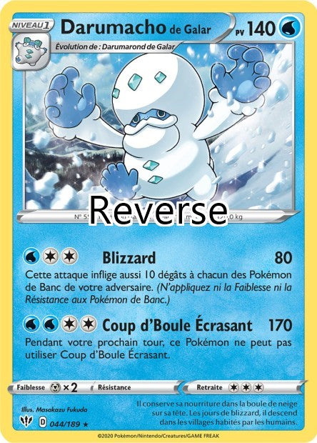 Darumacho 044 reverse