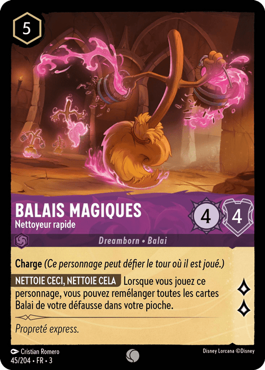 Balais Magiques Nettoyeur rapide