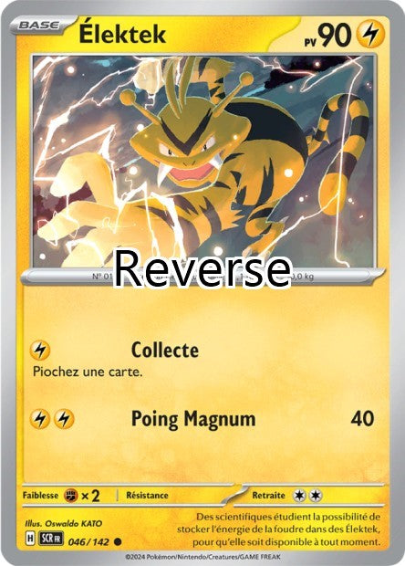 Elektek reverse