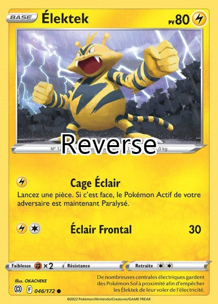 Élektek reverse